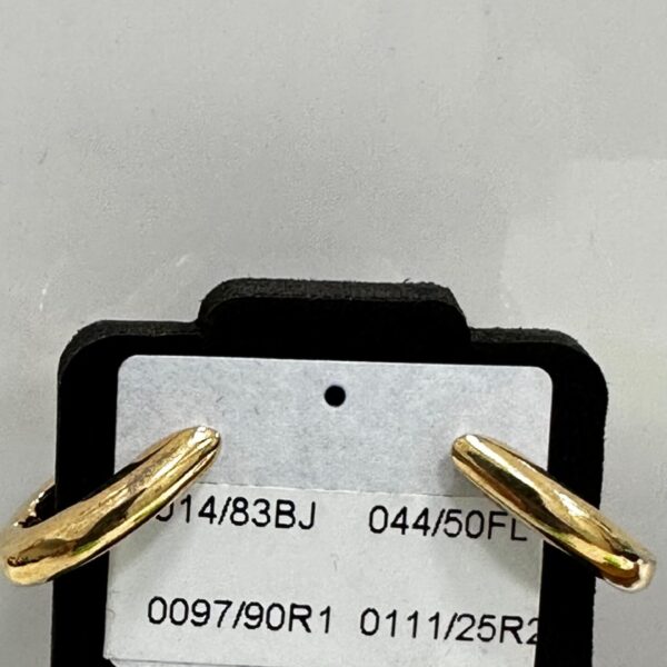 Brinco Argola - Banhado A Ouro